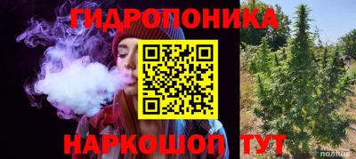 индика Балашиха