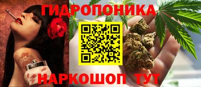 индика Балашиха