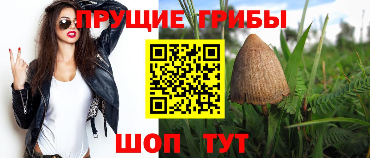 Галлюциногенные грибы мухоморы Егорьевск