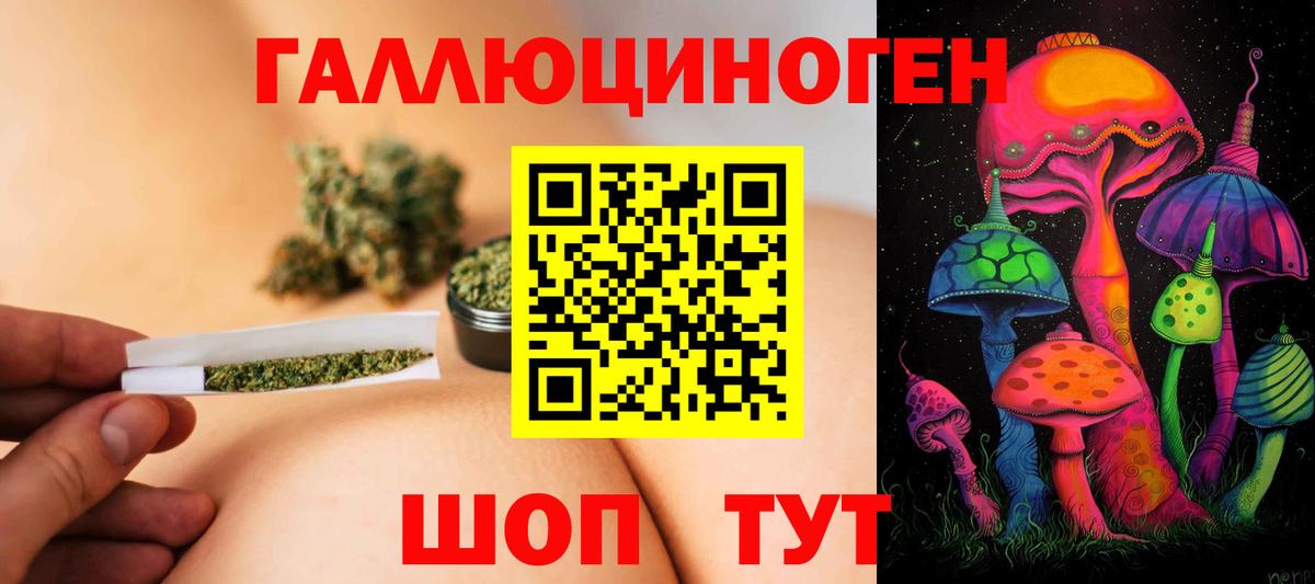 Галлюциногенные грибы GOLDEN TEACHER  Вход с VPN  Егорьевск 